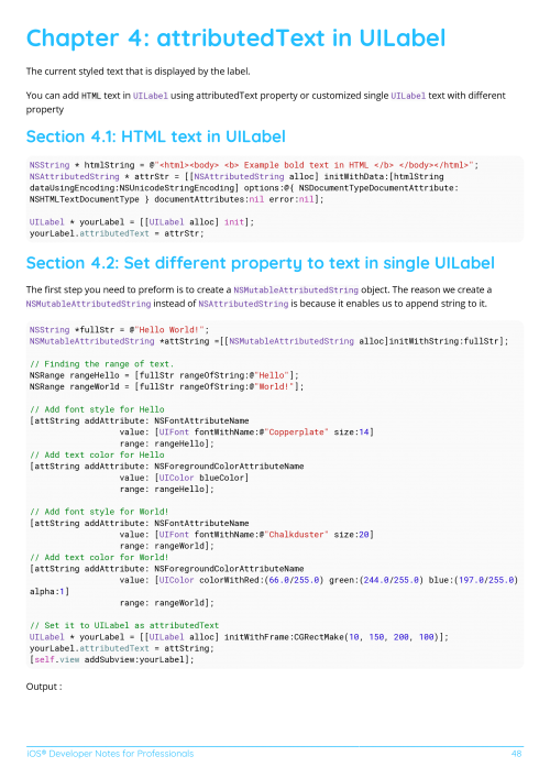 iOS® Developer Example Page 1